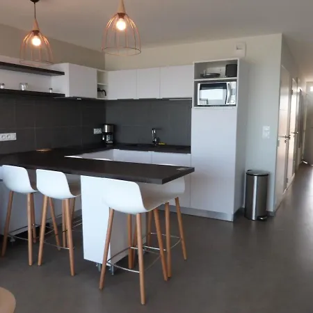 Apartment 6 Pers Avec Balcon, Piscine Et Acces Direct A - Fr-1-194-195